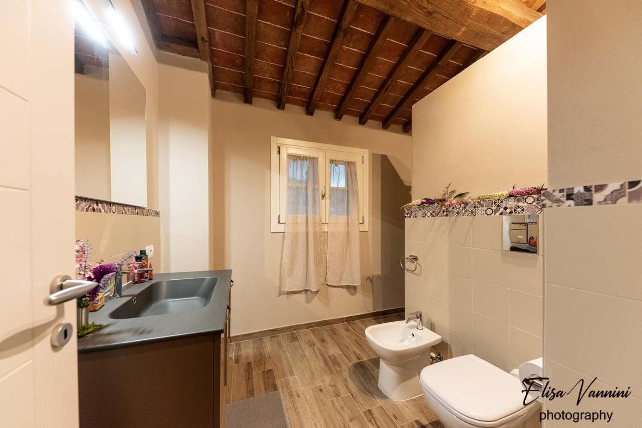 Apartament La Casa Delle Rondini Forcoli Zewnętrze zdjęcie